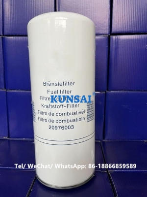 20976003 Fuel Filter H200WDK 1000422382 1117050B81DM 20430751 20539582 20815011 51.125.030.053 51.125.030.071  7420541381 7420976001 85114058